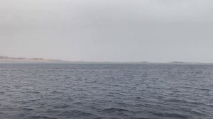 По морям по волнах Красного моря