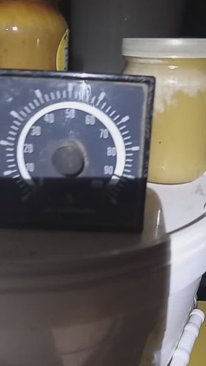 зимовка пчел 20 марта 2026 год