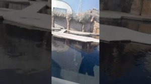 московский зоопарк