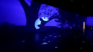 Где живёт панда