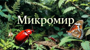 🍃🐜 Микромир лесных насекомых — это потрясающая вселенная!