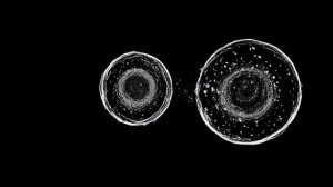 Для чего? Моя задача как человека и творца (AI Art)