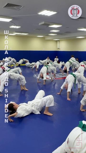 Мост на экзамене. Школа айкидо SHINDEN. #айкидо #спорт