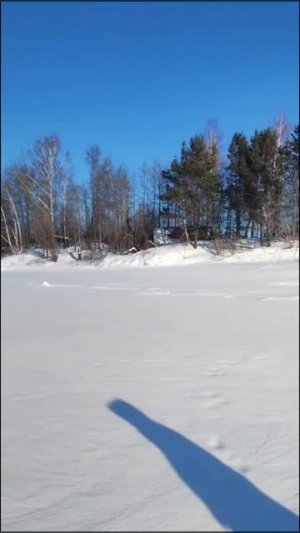 ХОРОШО, КОГДА ДЕТИ И ВНУКИ ДОМА.