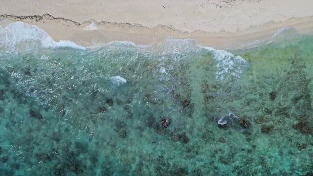 ReteoX - Retro Love Nights 💞 (Beautiful Girls • Italo Disco Mix 80s 90s) #top #retro #2026