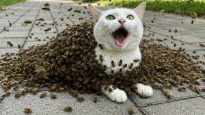 История спасения! Белую кошку, поглотил пчелиный рой