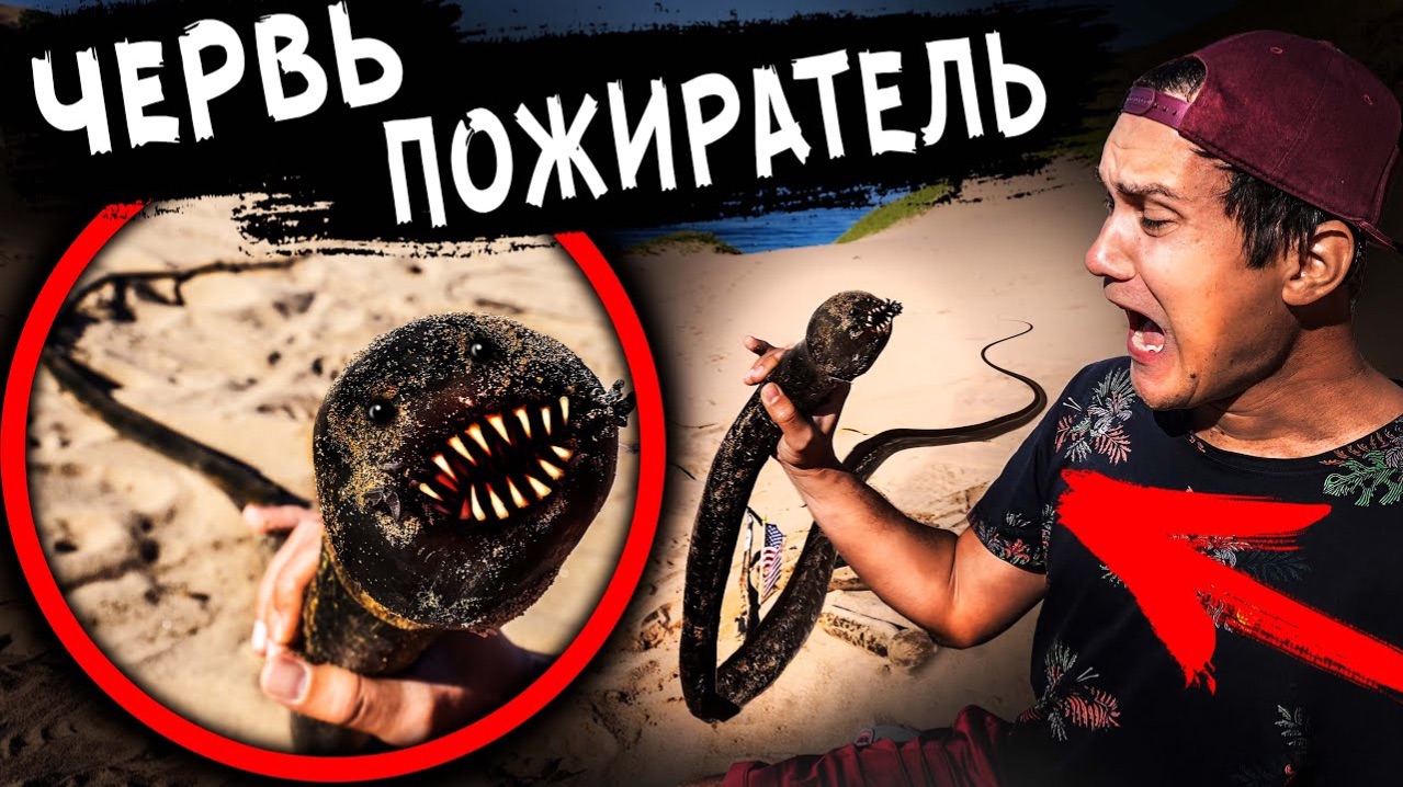 ГИГАНТСКИЙ ЧЕРВЬ ПОЖИРАТЕЛЬ НАПАЛ на нас Откопали ПЕСЧАНОГО ЧЕРВЯ ПОЖИРАТЕЛЯ Дом Кадиллак США