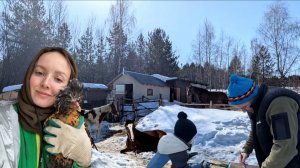 ГОТОВИМ ХОЗЯЙСТВО К ПОПОЛНЕНИЮ. Новый помощник. Сделали подоконник из ступенек. Жизнь в деревне.