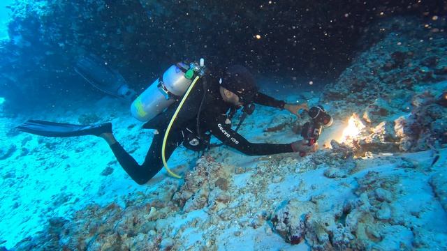 Погружение в мальдивскую голубую дыру