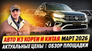 Авто из Кореи и Китая — актуальные цены на март 2026 | Обзор площадки