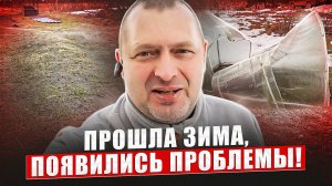 Прошла зима, ПОЯВИЛИСЬ ПРОБЛЕМЫ!
