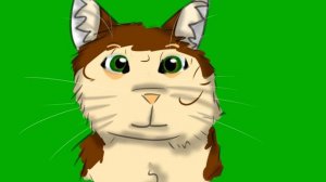 Тут вот вопросики от вас, 25 котов и кошек!!! И инфа в описе.