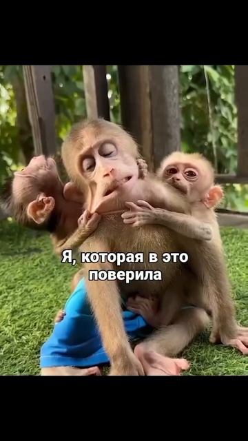 думала что будет легче