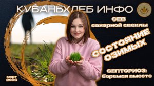 Новости АПК «Кубаньхлеб» 20.03.2026