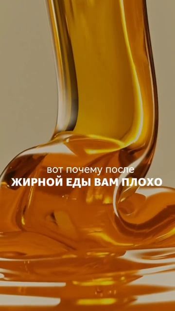 Вот почему вам плохо после жирной еды 💧
