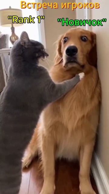 Lineage 2 Main Встреча Игроков Rank 1 и Новичка #l2 #lineage2 #shorts #shortvideo #short