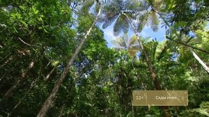 Анонс Сады мира