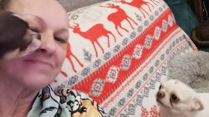 Всем доброго денечка!