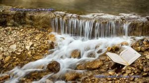 83. Сура Аль-Мутаффифин (Al-Mutaffifin | المطففين) — Слушать перевод Корана на русском языке 🕌