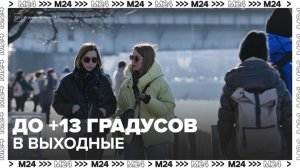 Воздух в выходные прогреется до 13 градусов тепла в Москве - Москва 24