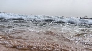 На берегу Красного моря