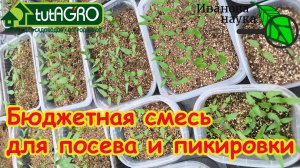 Секретный БЮДЖЕТНЫЙ состав: идеальный грунт для рассады за копейки. Для посева семян и пикировки.