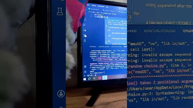 стрим про программирование