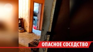 В Шелехове жители дома для сирот семь лет страдают от соседа-дебошира