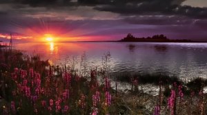 Измаил Ужбаноков - In Every Place (Chillout Mix) дудук