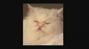 Одгадай про что это :)