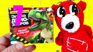 Семь Опытов.Эксперимент. Медведь Костя. Медведь. Костя. Опыт.Костя Медведь.