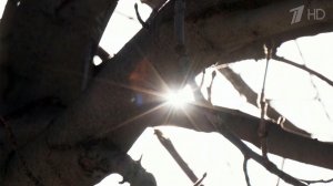 20 марта начинается астрономическая весна.