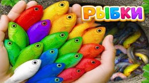 Мультики для детей про водных обитателей. Ловим и рассматриваем ярких рыбок. Мультики для малышей