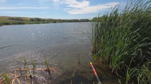 ЛОВЛЯ КАРАСИКА В САРАТОВСКОЙ ОБЛАСТИ