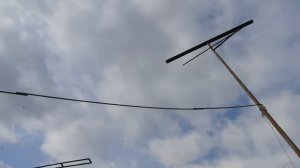 20.03.26 г. Андижанская порода голубей (1)