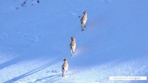 ЭКСПЕДИЦИЯ 4