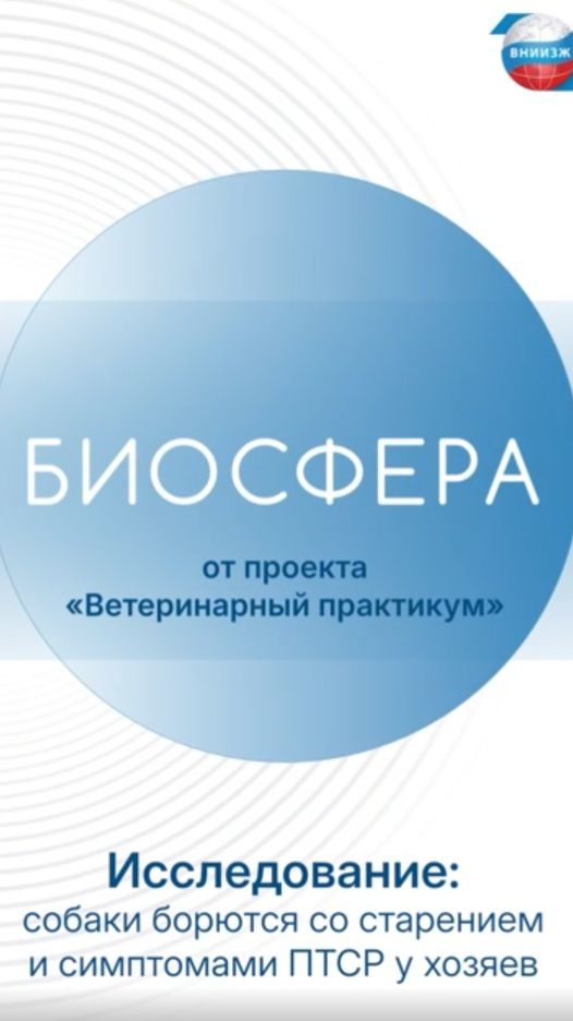 Собаки борются со старением и симптомами ПТСР у хозяев