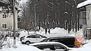 Курьера аферистов, забравшего у дедушки коробку с рублями и долларами, вычислила полиция Подмосковья