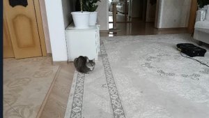 НЕ ЛЮБЛЮ, НО НАДО! РАСПАКОВКА. ДУШЕВНОЕ ЧАЕПИТИЕ.