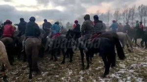 В Подмосковье суд оштрафовал организатора тюркской игры с тасканием туши козла (2)