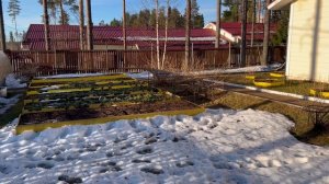 Что-то непонятное происходит в Карелии