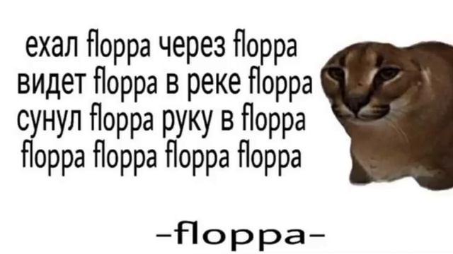 dopros mastera ryslana