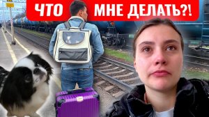 МУЖ УЕХАЛ И ЗАБРАЛ МОЮ СОБАКУ😭Я ОСТАЮСЬ ОДНА В ДЕРЕВНЕ😰МОИ БУДНИ В ОДИНОЧЕСТВЕ.. деревенский Vlog
