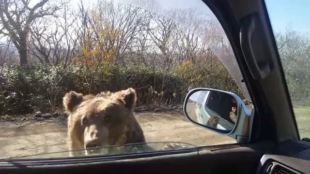 Напишите в комментариях — вы бы рискнули так сделать?