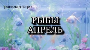 РЫБЫ таро прогноз на АПРЕЛЬ 2026 [расклад таро] [гадание онлайн]