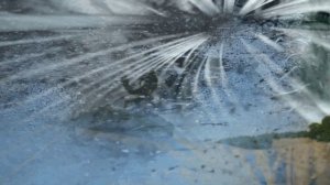 Мне по душе простор полей