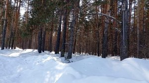 Прогуляемся и полюбуемся природой😄