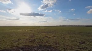 ВЕСЕНЯЯ ОХОТА НА ГУСЯ В САРАТОВСКОЙ ОБЛАСТИ