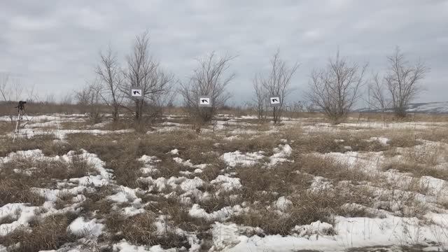 ОХОТА НА ГУСЯ ВЕСНОЙ В САРАТОВСКОЙ ОБЛАСТИ