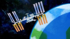 Мульт Птичка 3-1